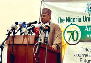 AI deepfakes threaten Nigerian journalism, Minister warns