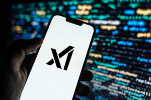 DOGE Denizen Marko Elez Leaked API Key for xAI