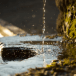 Read more about the article Google Claims One Gemini AI Prompt Uses Five Drops of Water