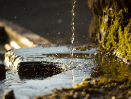 Google Claims One Gemini AI Prompt Uses Five Drops of Water